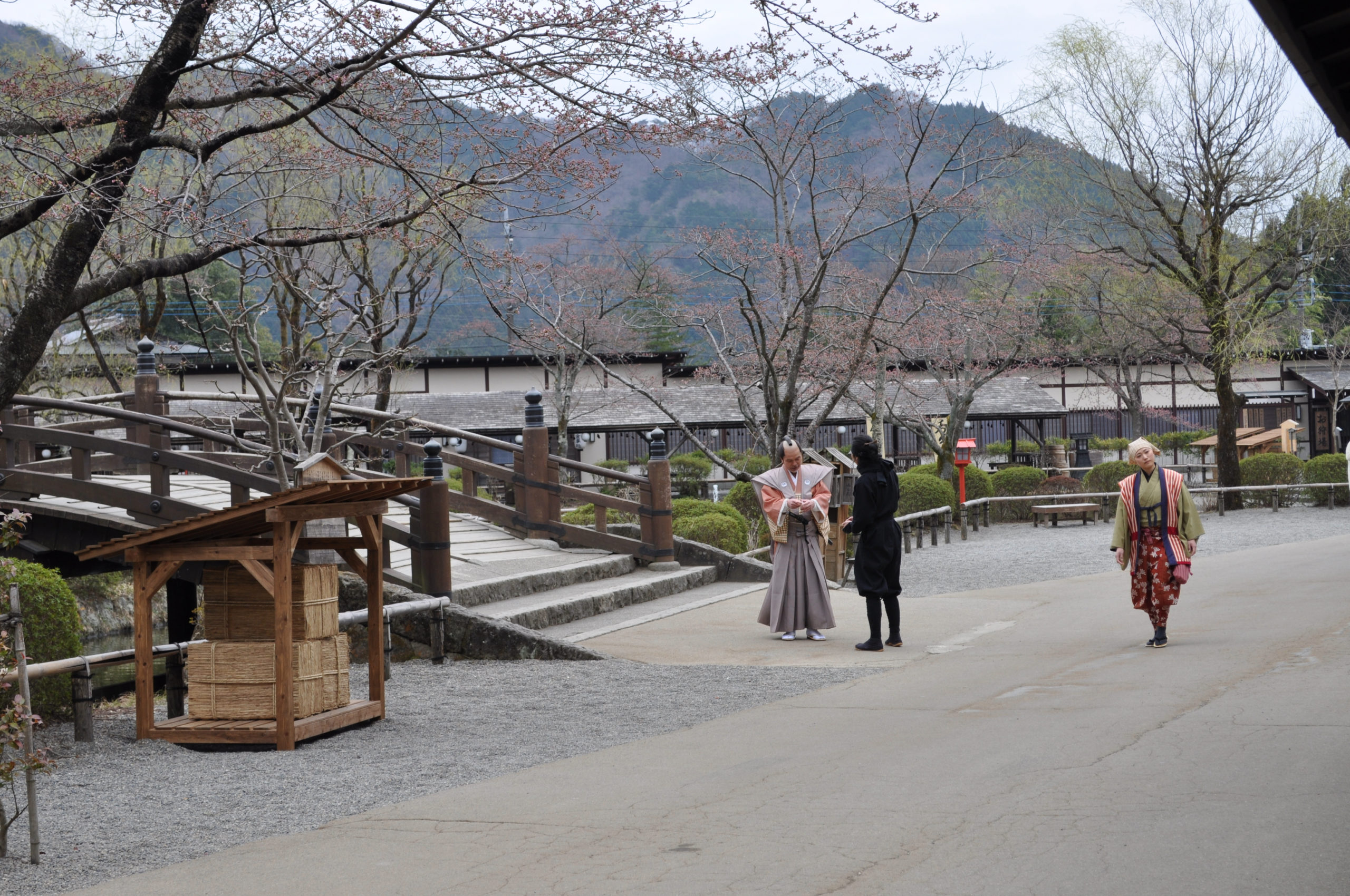 Edo Wonderland Nikko Edomura Japan With The Fam