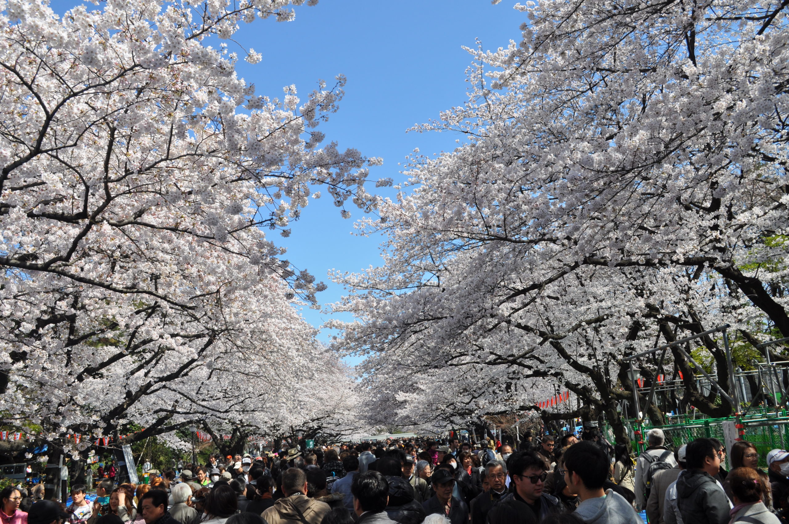 Ueno Park – Japan with the fam